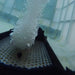 Vanguard Electric Bottom Aeration System Diffuser Aerating Under Water Close Up View