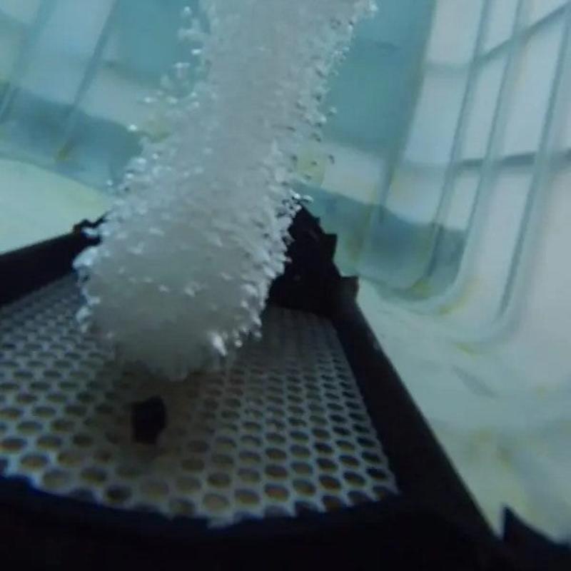 Vanguard Electric Bottom Aeration System Diffuser Aerating Under Water Close Up View