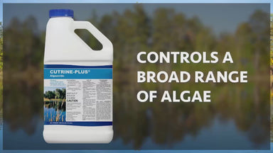 Cutrine Plus 1 Gallon - Algae and Weed Control Video