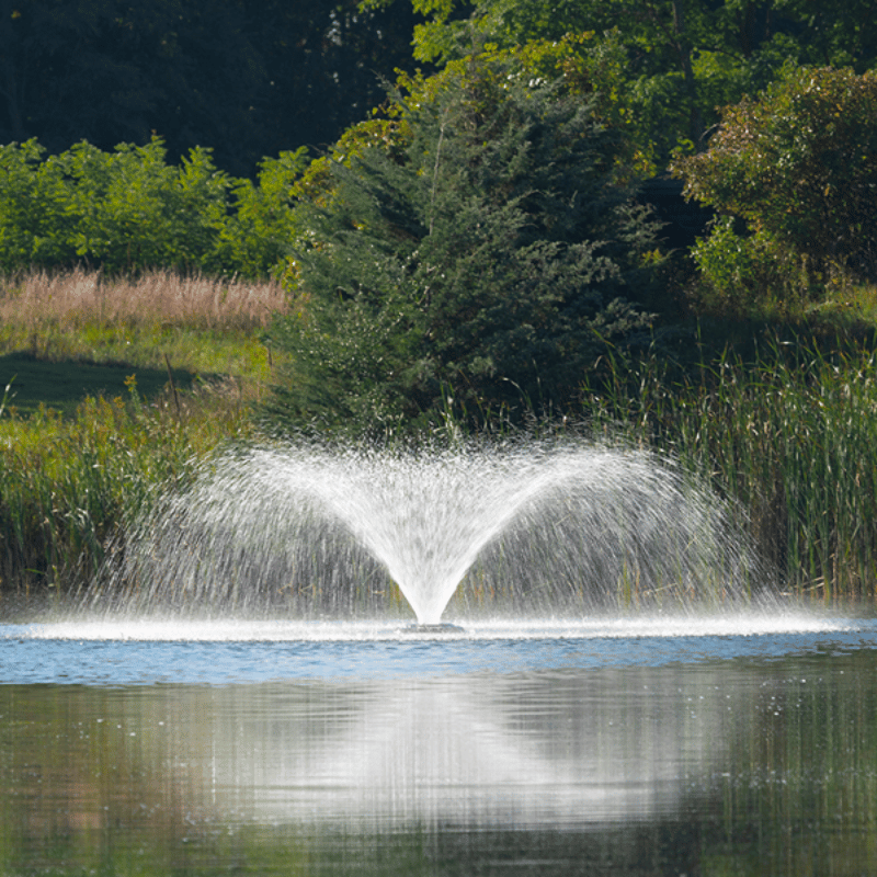 Kasco Solar VFX Fountain - On Water with Trees at the Background