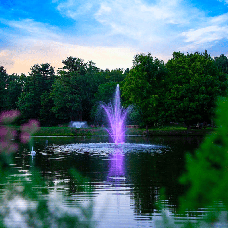 SCOTT AERATOR Amherst Fountain On Water with Purple Led Light with Trees at the Background