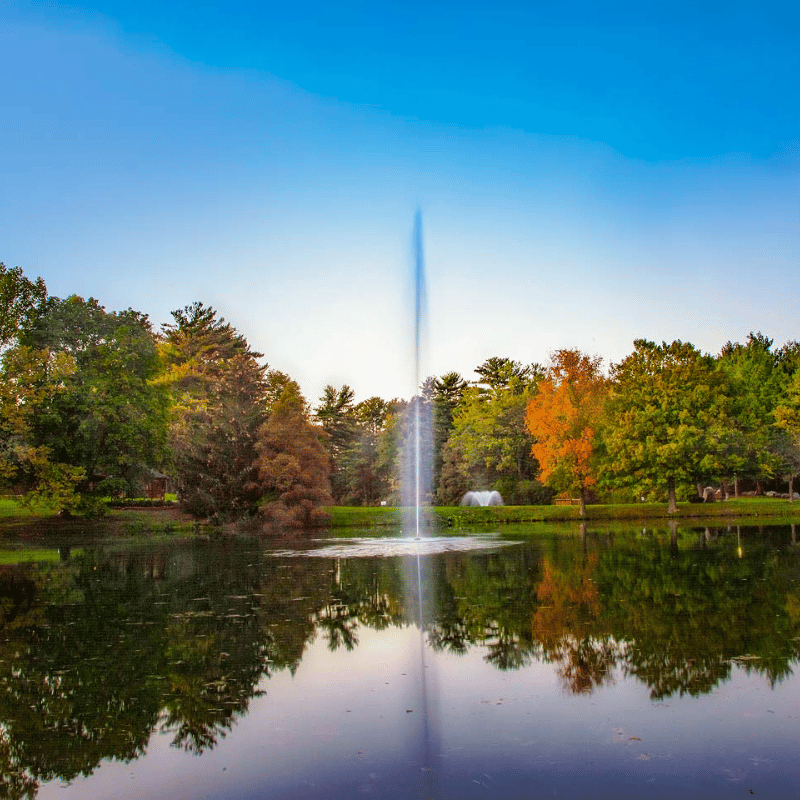 SCOTT AERATOR Gusher Fountain - On Water Display Showing Spray Height with Trees at the Background