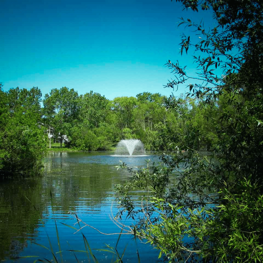 SCOTT AERATOR North Star Fountain Aerator - On Water Display Surrounded by Trees