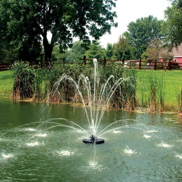 Tiara Nozzle for Aqua Control Evolution Series 1/2 HP Fountain - Spray Pattern On Display with Trees at the Background